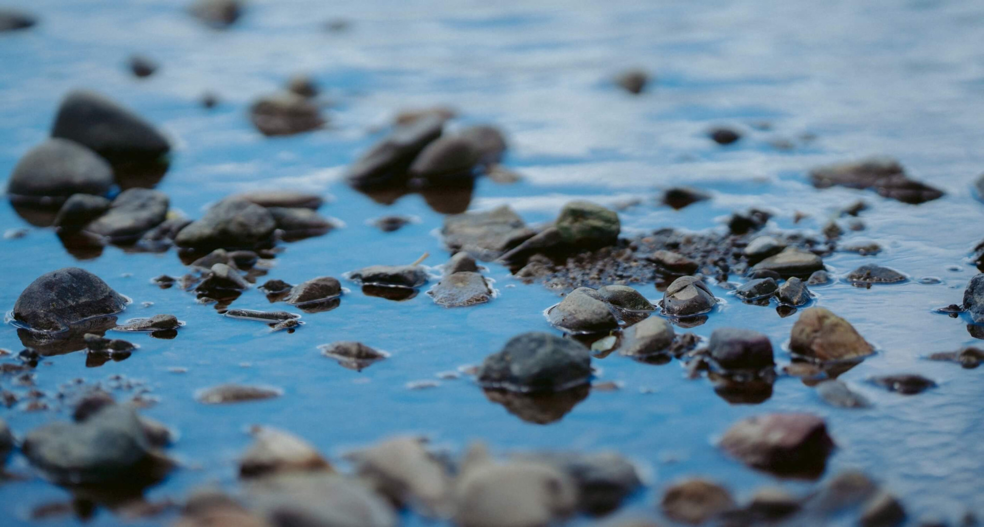 自然こそ、人の未来を明るくする